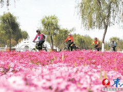 春暖花开季 骑行赏美景