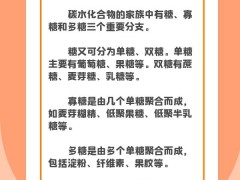 减肥真的需要“0碳水”吗？这样科学“食碳”保持身体健康